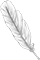 feather-1